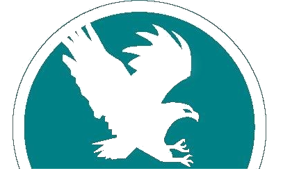 LOGO National Pacific Lending Transparent